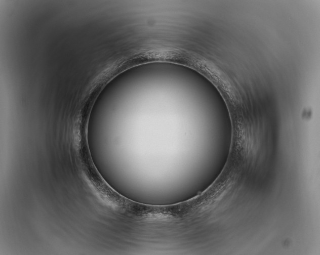 X0000097980586200803241301