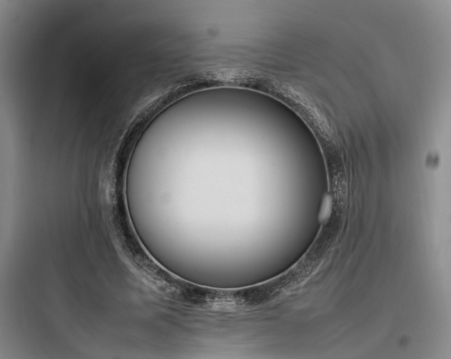 X0000097980587200803241301