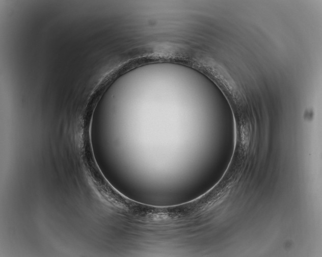 X0000097980588200803241301