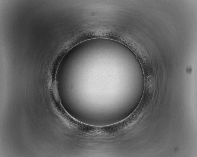 X0000097980589200803241301