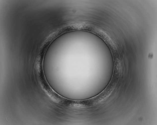 X0000097980590200803241301