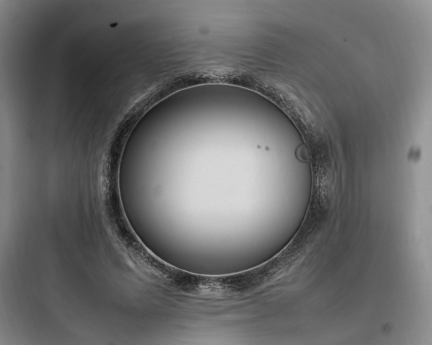 X0000097980591200803241301