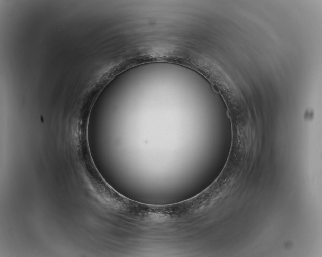 X0000097980592200803241301