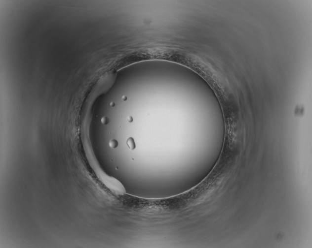 X0000097980593200803241301