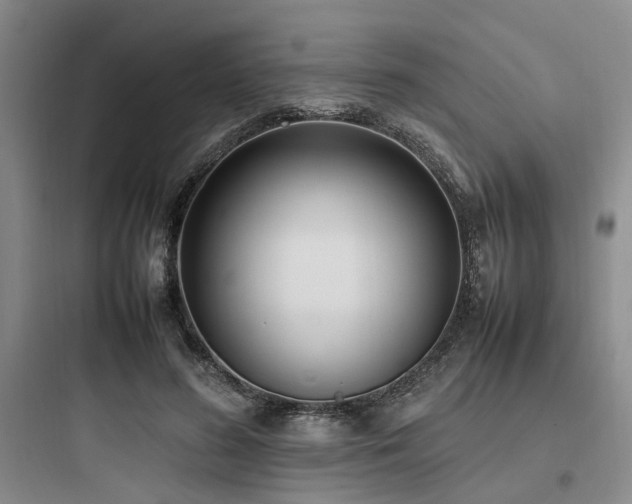 X0000097980596200803241301