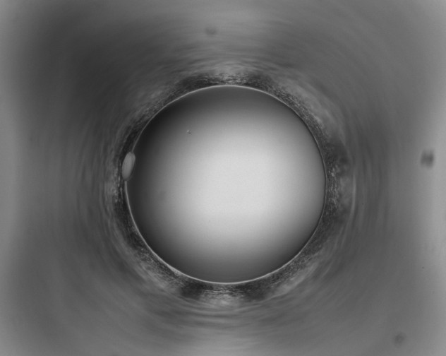 X0000097980597200803241301