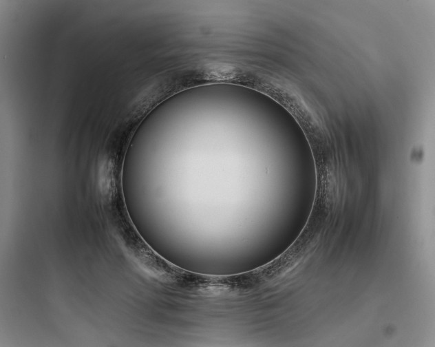 X0000097980598200803241301