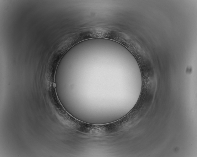X0000097980599200803241301