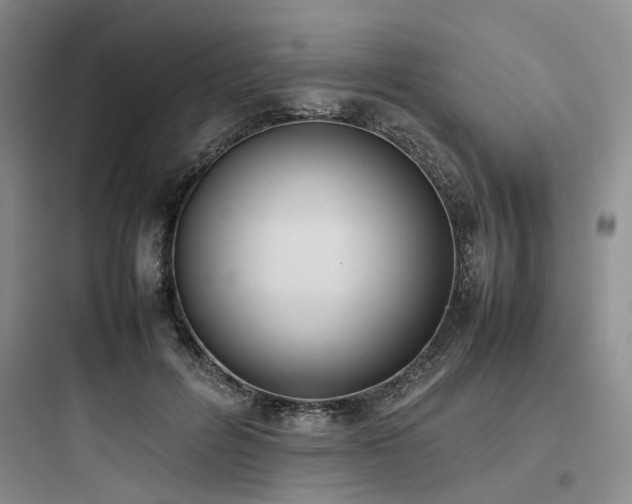 X0000097980600200803241301