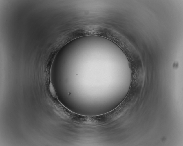 X0000097980601200803241301