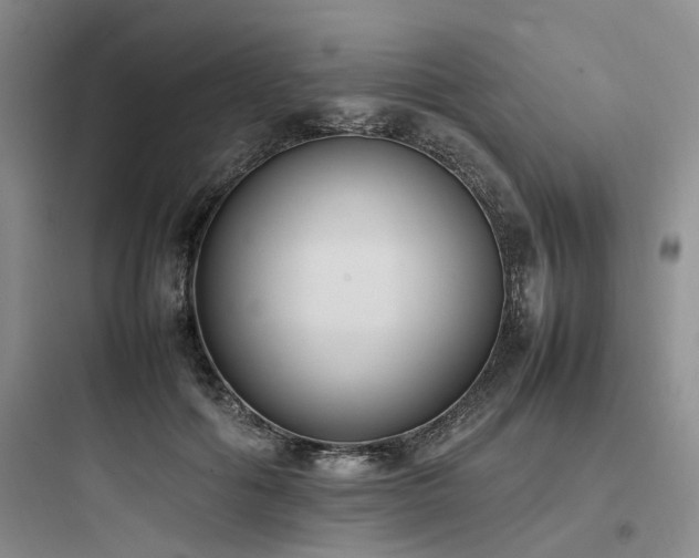 X0000097980602200803241301
