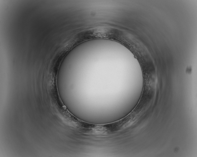 X0000097980603200803241301
