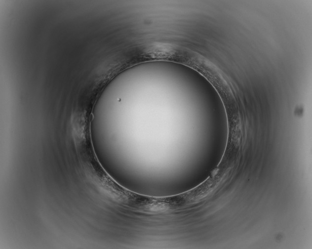 X0000097980604200803241301