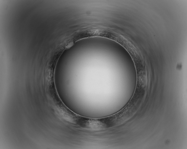 X0000097980605200803241301