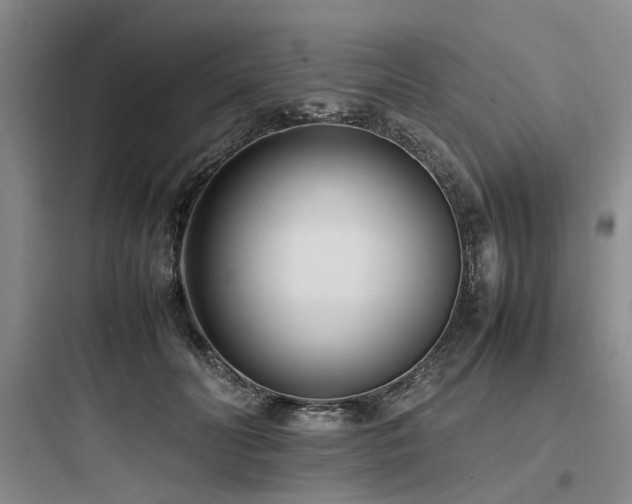 X0000097980606200803241301