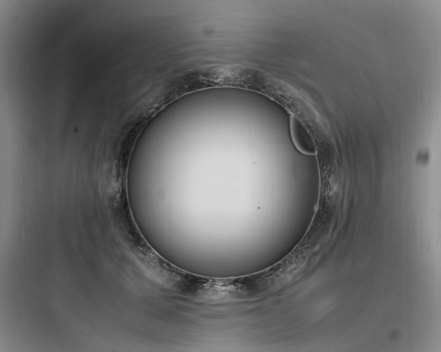 X0000097980607200803241301