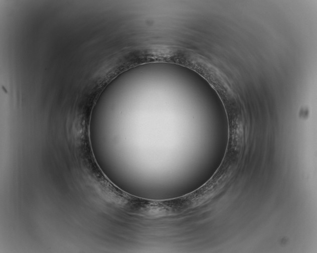 X0000097980608200803241301