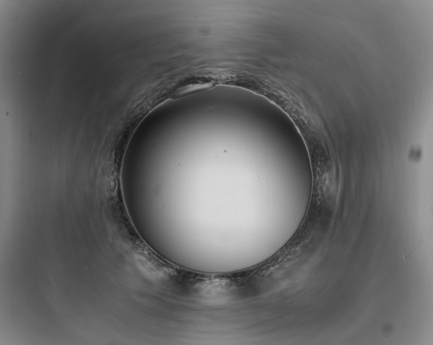 X0000097980609200803241301