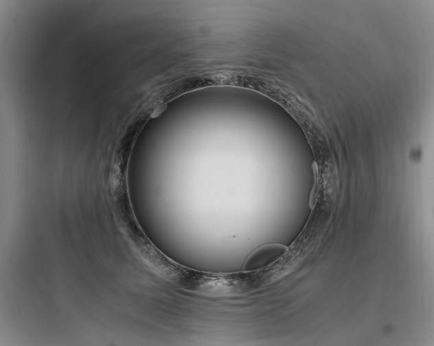 X0000097980611200803241301