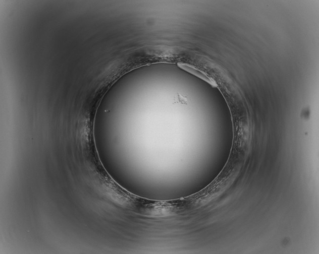 X0000097980612200803241301