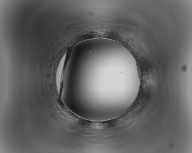 X0000097980613200803241301