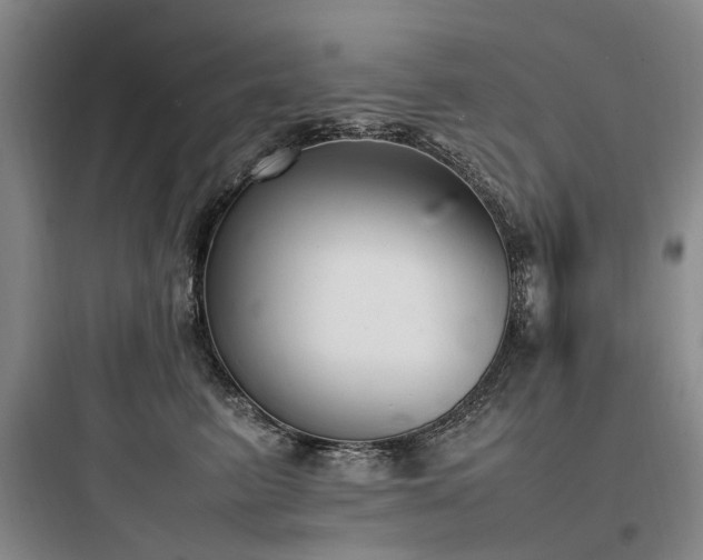 X0000097980615200803241301