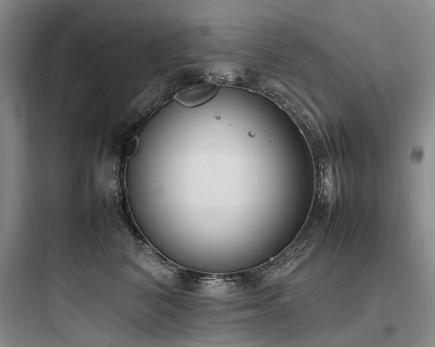 X0000097980616200803241301