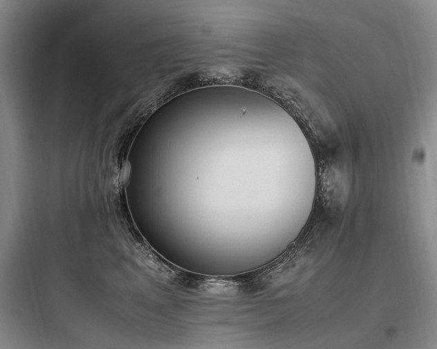 X0000097980617200803241301