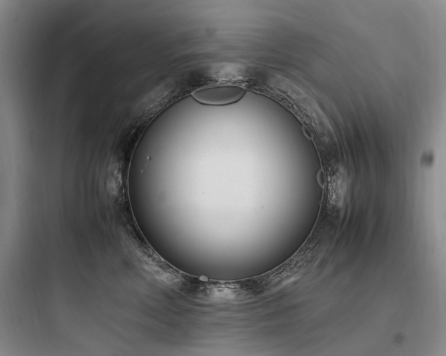 X0000097980618200803241301