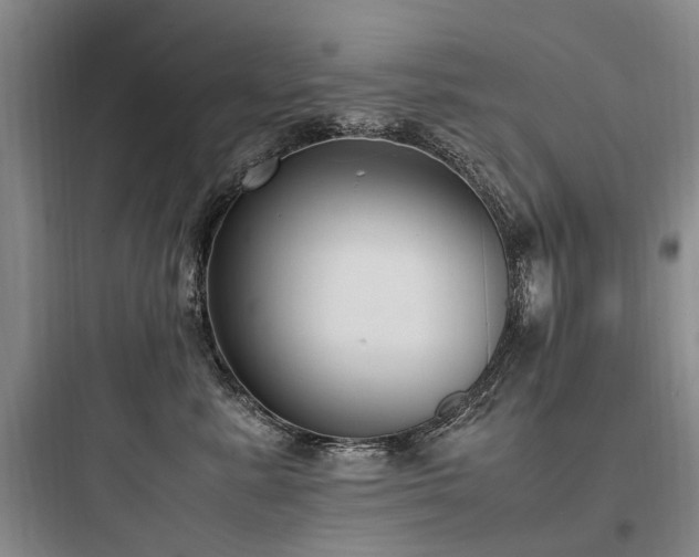 X0000097980619200803241301