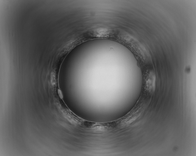 X0000097980620200803241301