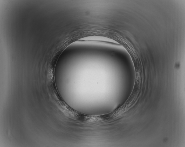X0000097980621200803241301