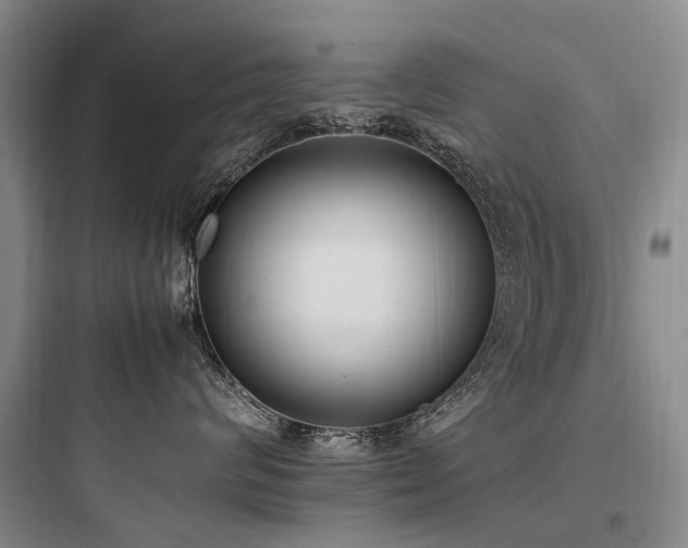X0000097980624200803241301