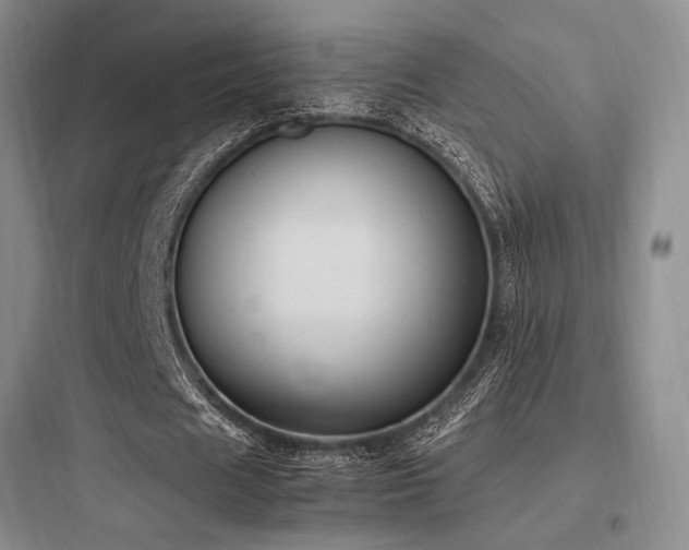 X0000097980625200803241300