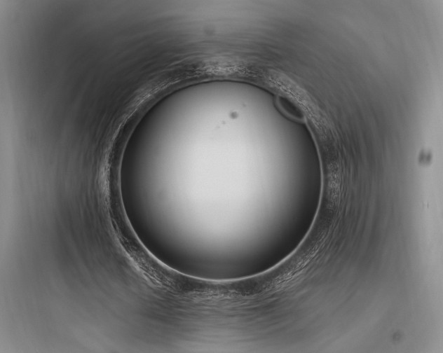 X0000097980626200803241300