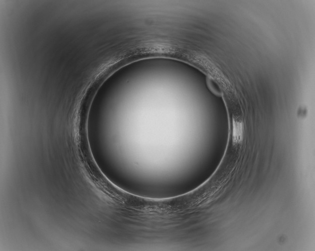 X0000097980627200803241300