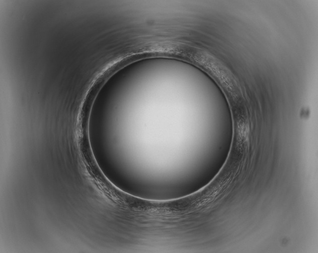 X0000097980628200803241300
