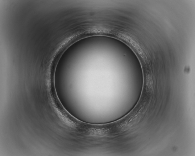 X0000097980629200803241300