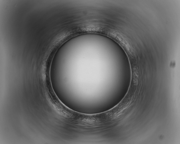 X0000097980631200803241300