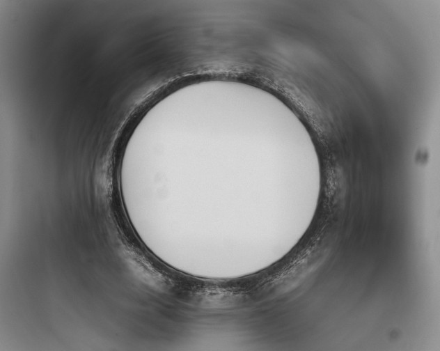 X0000097980632200803241300