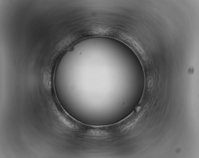 X0000097980633200803241300