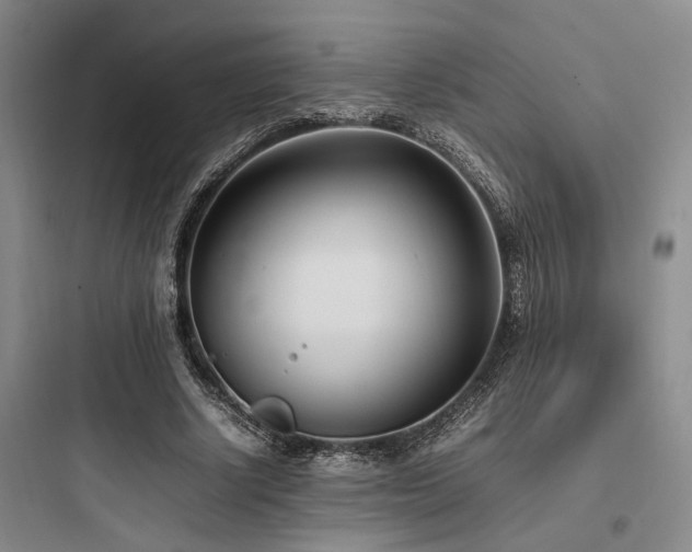 X0000097980634200803241300