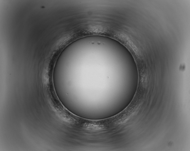 X0000097980635200803241300