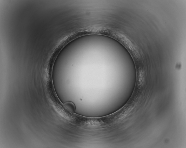 X0000097980636200803241300