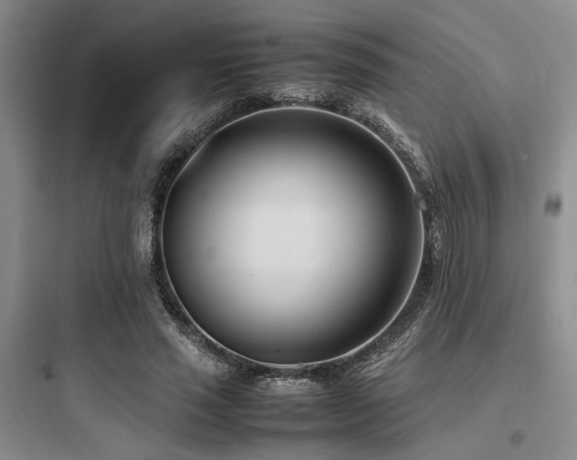 X0000097980637200803241300