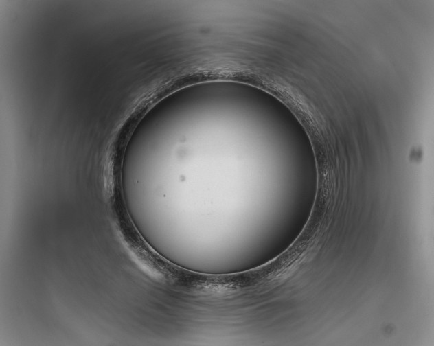 X0000097980638200803241300