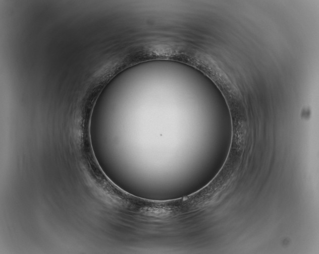 X0000097980639200803241300