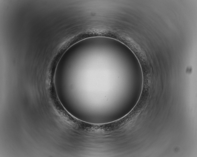 X0000097980640200803241300