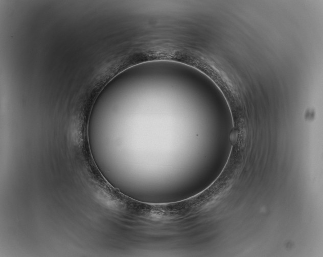 X0000097980641200803241300