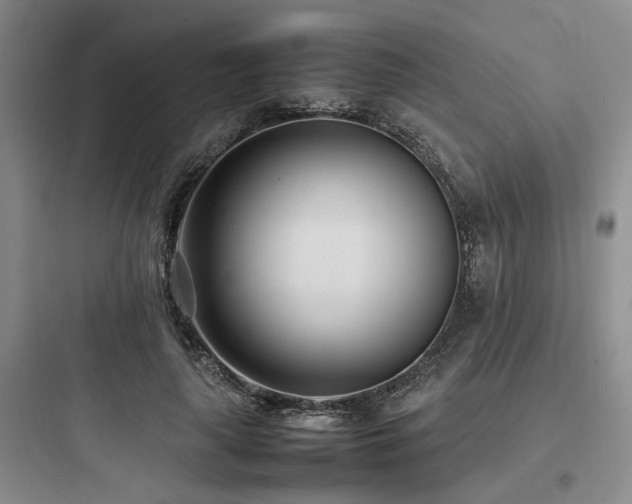 X0000097980643200803241300